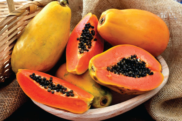 تقویت سیستم ایمنی با تغذیه مناسب (معرفی ۱۵ میوه، سبزیجا ن و انواع خوراکی)
