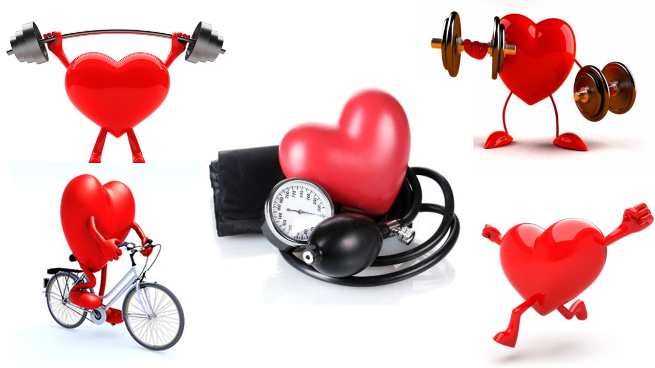 تمرین ورزشی تناوبی تنشی (HIIT) چیست؟ نحوه انجام و فواید بی نظیر برای سلامت
