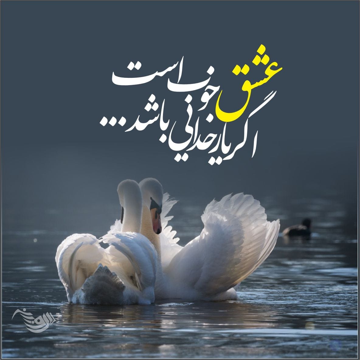 شعر عاشقانه دلبرانه با گلچین اشعار کوتاه و بلند احساسی رمانتیک برای عشق