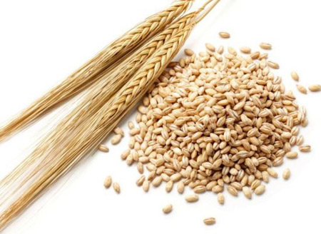 رژیم غذایی دیابت | افرادی که دیابت دارند چه غذاهایی بخورند؟