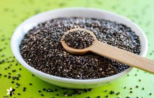 خاصیت تخم شربتی برای لاغری و کاهش معده درد