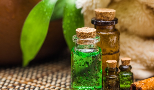 خواص روغن درخت چای؛ خواص درمانی و بی نظیر روغن درخت چای