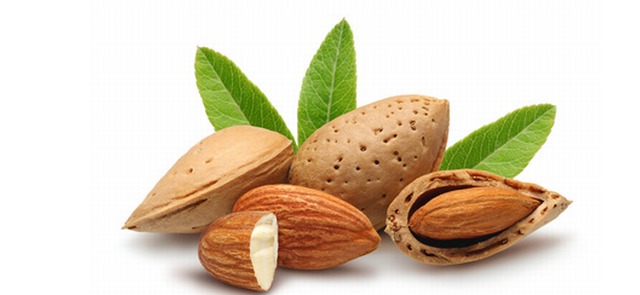 خواص شگفت انگیز روغن بادام تلخ؛ خاصیت های شگفت انگیز و درمانی روغن بادام تلخ