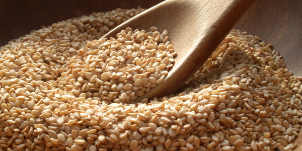 خواص کنجد؛ خواص فوق العاده کنجد و خواص روغن کنجد