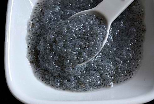 تخم شربتی و خواص آن؛ خواص بی نظیر تخم شربتی