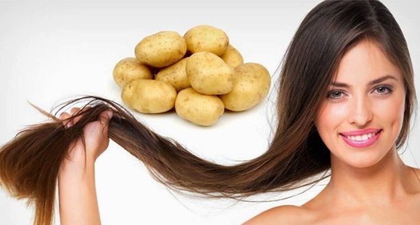 خواص سیب زمینی؛ خواص و فواید سیب زمینی برای سلامتی، مضرات سیب زمینی خواص سیب زمینی؛ خواص و فواید سیب زمینی برای سلامتی، مضرات سیب زمینی