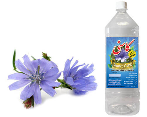 خواص عرق کاسنی؛ خواص و مضرات عرق کاسنی