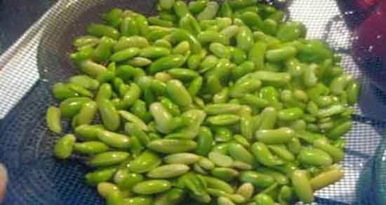 بیماری حساسیت به باقلا در جدول علائم حساسیت به باقلا در بزرگسالان