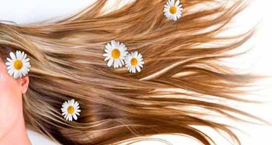 ترکیب حنا و بابونه برای مو ؛ خاصیت استفاده از ترکیب حنا و بابونه برای تقویت مو