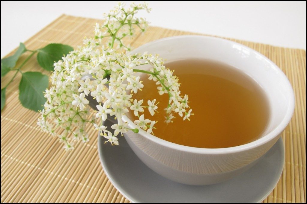 خاصیت چای سفید؛ تمامی خواص چای سفید برای سلامت بدن