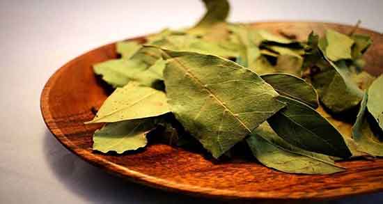 سوزاندن برگ بو نی نی سایت ایا سوزاندن برگ بو برای ریه مضر است