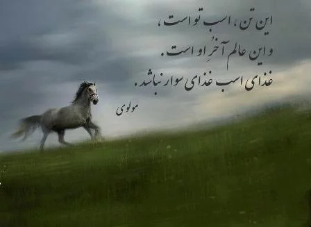 شعر درباره اسب + مجموعه اشعار و متن های زیبا در مورد حیوان نجیب اسب