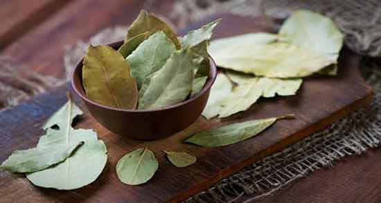 طرز تهیه مرغ مجلسی با برگ بو دستور تهیه مرغ مجلسی با برگ بو تازه
