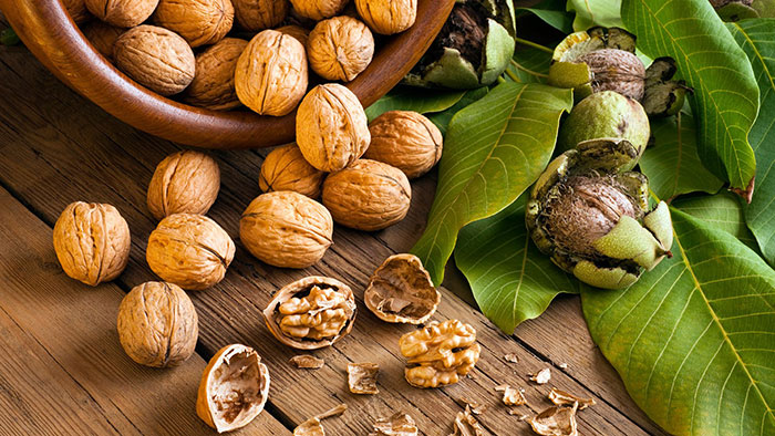 خواص گردو؛ آشنایی با خواص درمانی گردو و مضرات آن