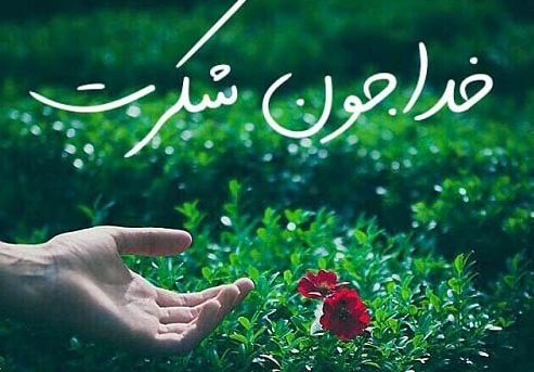 متن تشکر از خدا بخاطر سلامتی + جملات کوتاه سپاسگزاری از درگاه پروردگار