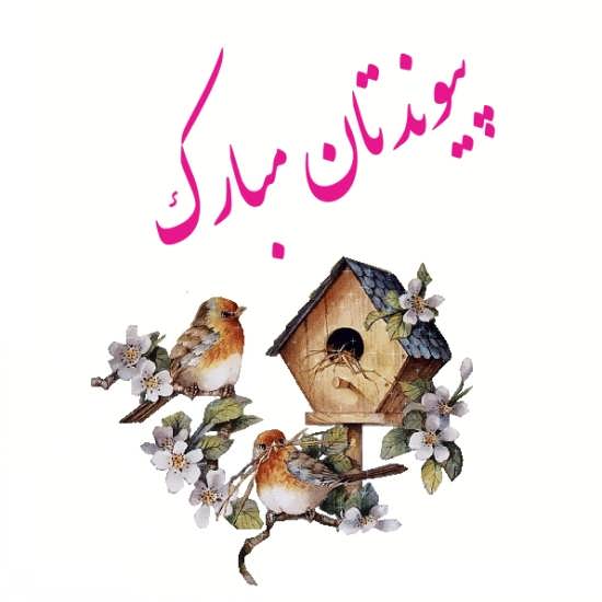 متن پیوندتان مبارک + جملات تبریک برای ارسال به تازه عروس و تازه داماد