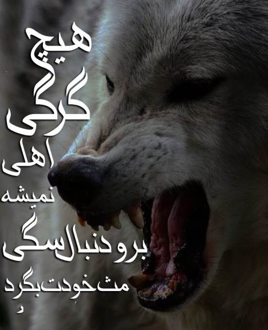 عکس نوشته لاتی + جملات پسرانه و دخترانه فاز سنگین لات و گنگ بالا