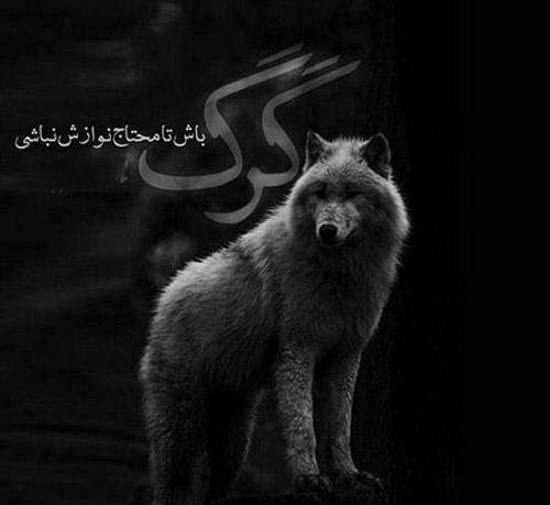 عکس نوشته لاتی + جملات پسرانه و دخترانه فاز سنگین لات و گنگ بالا