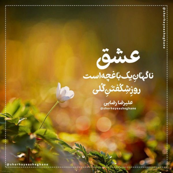 جملات قصار عاشقانه + متن ها و سخنان زیبای معنی دار از بزرگان جهان