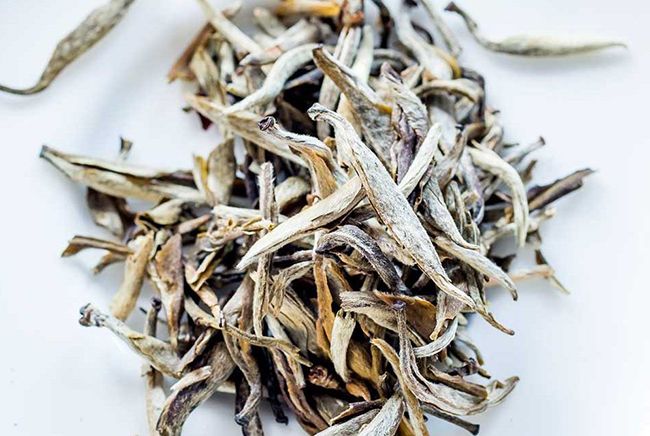 10 چای لاغری + معرفی بهترین چای های لاغری برای چربی سوزی 10 چای لاغری + معرفی بهترین چای های لاغری برای چربی سوزی