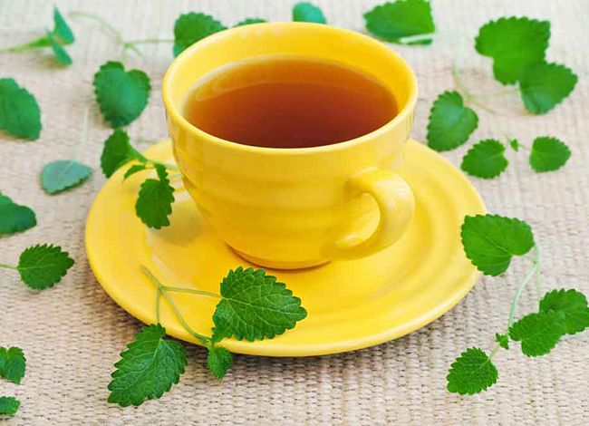 10 چای لاغری + معرفی بهترین چای های لاغری برای چربی سوزی 10 چای لاغری + معرفی بهترین چای های لاغری برای چربی سوزی