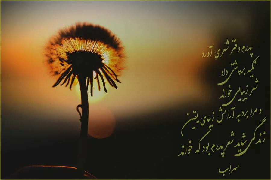 شعر درباره آرامش + مجموعه اشعار زیبا و خاص در مورد آرامش زندگی