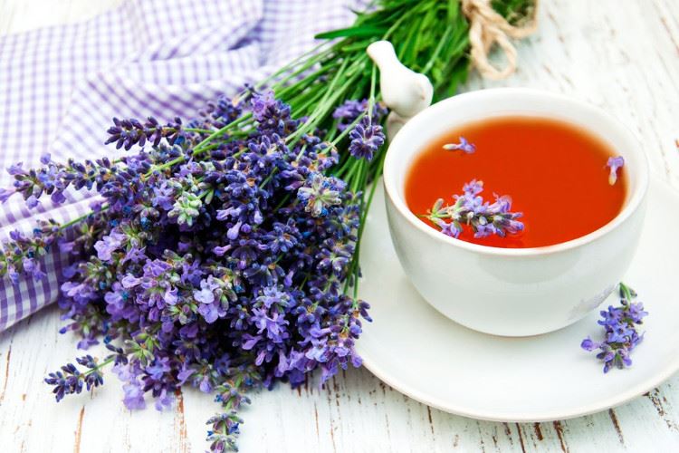خواص اسطوخودوس؛ فواید درمانی اسطوخودوس و دمنوش اسطوخودوس