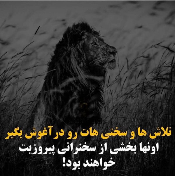 متن انگیزشی دخترانه برای کپشن + جملات خاص انرژی بخش دخترونه برای اینستا