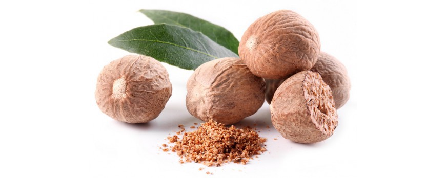 خواص جوز هندی؛ تأثیر درمانی جوز هندی، فواید جوز هندی بر لاغری و سلامت پوست و بدن خواص جوز هندی؛ تأثیر درمانی جوز هندی، فواید جوز هندی بر لاغری و سلامت پوست و بدن