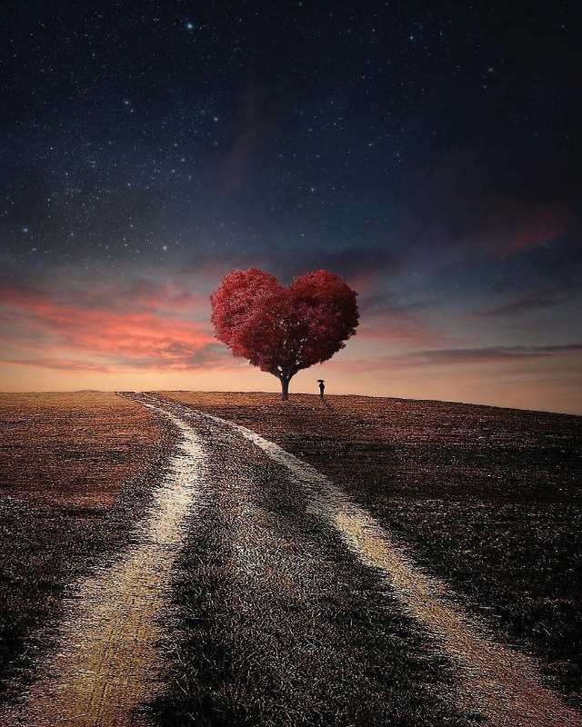 متن شب و تنهایی عاشقانه + عکس نوشته های زیبا با تم و پشت زمینه شب