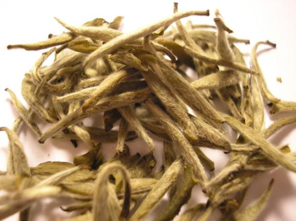 خواص چای سفید؛ اطلاعات مفید درباره مصرف چای سفید و فواید عالی این چای