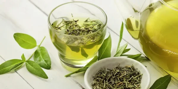 تمام خواص "چای سبز" برای کاهش وزن، پوست، سلامت و پیشگیری و درمان بیماری ها
