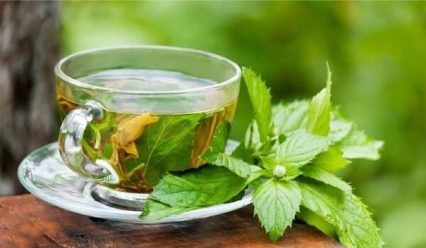 تمام خواص "چای سبز" برای کاهش وزن، پوست، سلامت و پیشگیری و درمان بیماری ها
