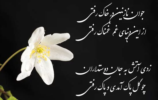 پیام تسلیت جوان ناکام و نوجوان + متن و جملات سوزناک برای فوت و درگذشت فرد ناکام