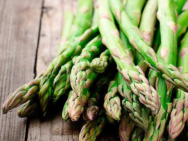 خواص مارچوبه؛ مارچوبه چیست و خواص درمانی مارچوبه، تأثیر مارچوبه بر لاغری