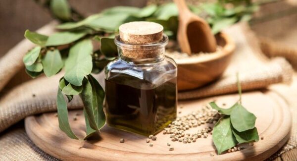 تمام فواید "روغن شاهدانه" برای سلامت بدن و خواص ویژه این روغن مفید