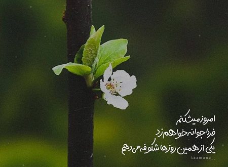 متن اینستاگرامی زیبا + جملات جذاب برای کپشن، استوری و بیو Instagram