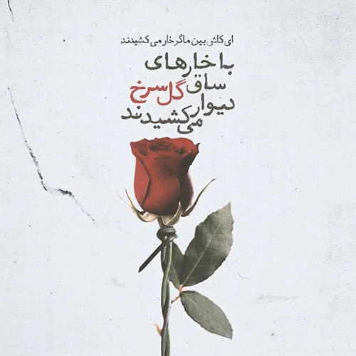 متن زیبا در مورد گل و جملات با معنی و زیبا در مورد زیبایی گل