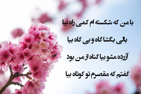 پیام عذرخواهی عاشقانه + جملات کوتاه برای معذرت خواهی از همسر و عشق