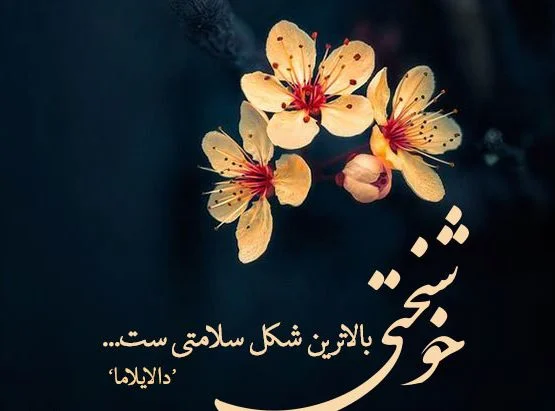 جملات بزرگان در مورد سلامتی و تندرستی + عکس نوشه هایی در مورد حفظ سلامت
