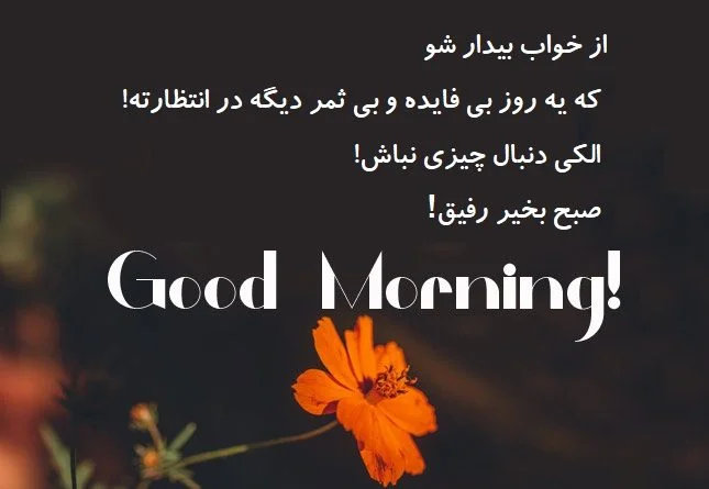 متن صبح بخیر خنده دار و بامزه + جملات با نمک سرکاری صبح بخیر گفتن