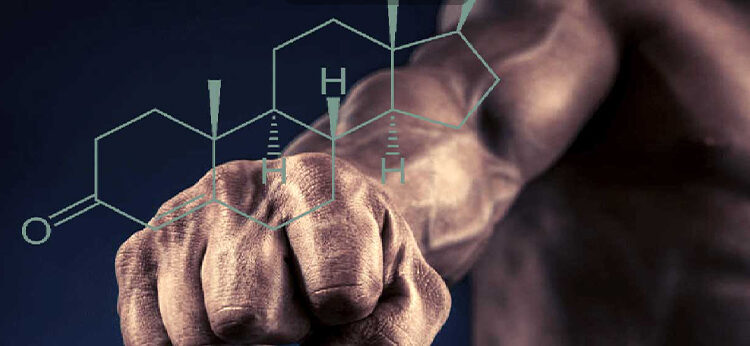 مکمل ال آرژنین چیست و چه تاثیری بر ماهیچه ها دارد؟