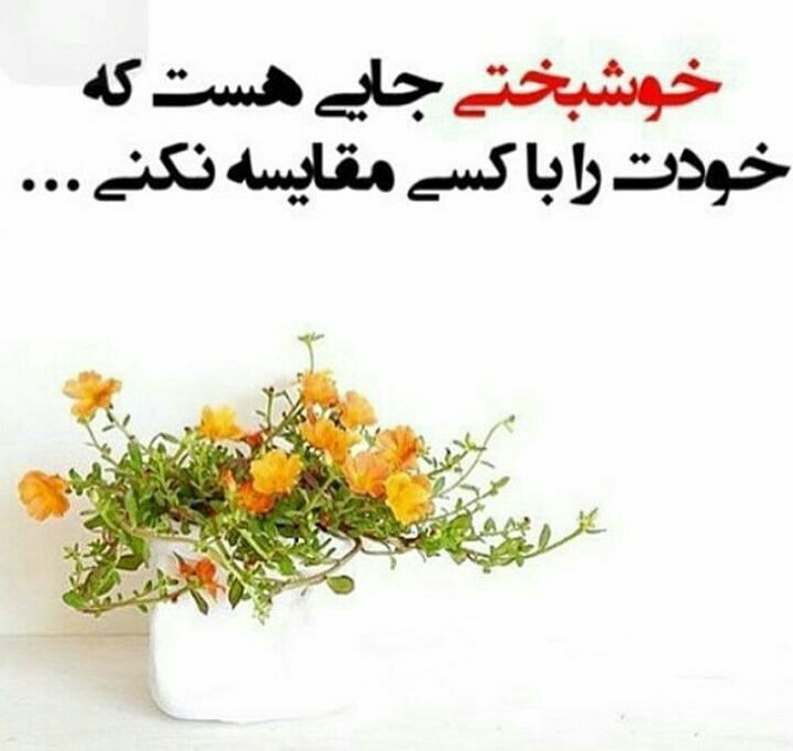 جملات خوشبختی | متن در مورد آرامش و حس خوشبختی در زندگی