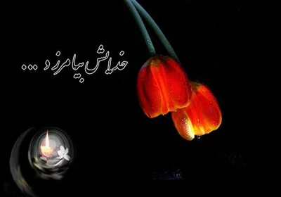 مجموعه متن و پیام تسلیت فوت + جملات گلچین شده تسلیت