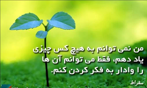 سخنان سقراط | بهترین جملات و گفته های سقراط فیلسوف بزرگ