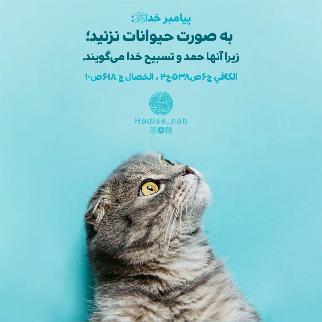 حدیث در مورد حیوانات (نقل قول های مذهبی در مورد حیوانات خانگی و وحشی)