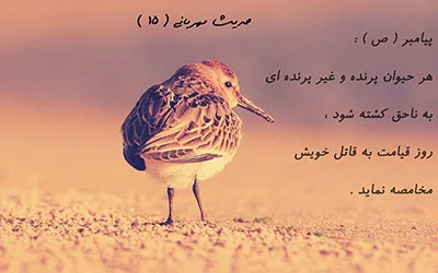 حدیث در مورد حیوانات (نقل قول های مذهبی در مورد حیوانات خانگی و وحشی)