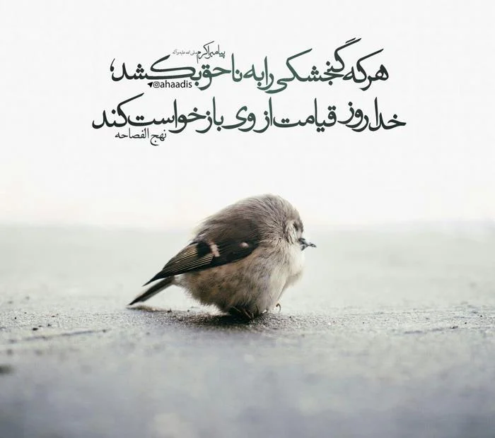 حدیث در مورد حیوانات (نقل قول های مذهبی در مورد حیوانات خانگی و وحشی)