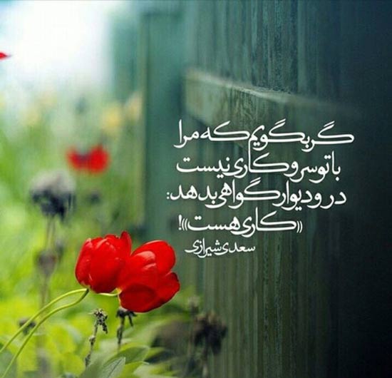 اشعار عاشقانه در ادبیات جهان + مجموعه 40 شعر احساسی از شاعران معروف دنیا