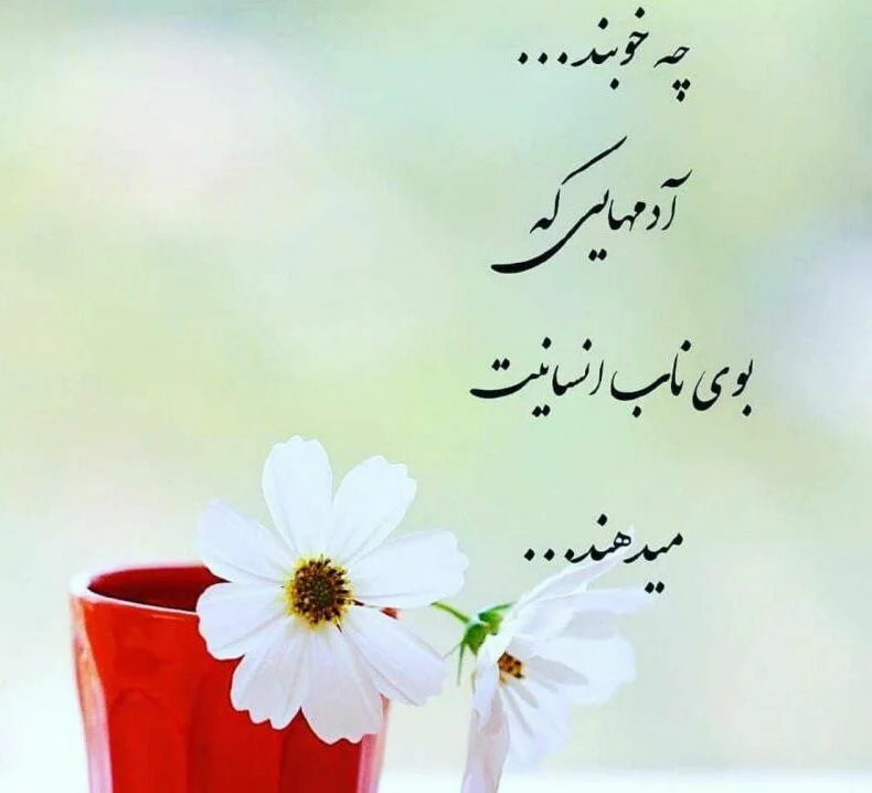 عکس نوشته انسانیت (سخنان ناب و مفهومی در مورد انسان بودن)
